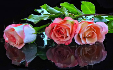 Картинка mothers love цветы розы на столе