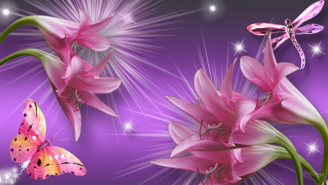 Обои картинки фото pink, on, purple, рисованные, цветы, бабочка, стрекоза, цветок