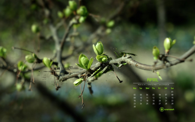 Обои картинки фото календари, природа, листочки, ветка