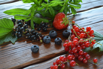 обоя еда, фрукты,  ягоды, листья, ягоды, красная, смородина, черника, черная, клубника