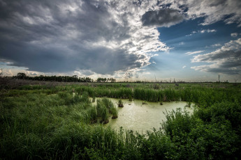Картинка природа реки озера тучи осока болото поле
