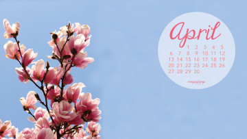 Картинка календари цветы магнолия