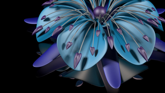 Обои картинки фото 3д графика, flowers , цветы, узор, фон, цвета