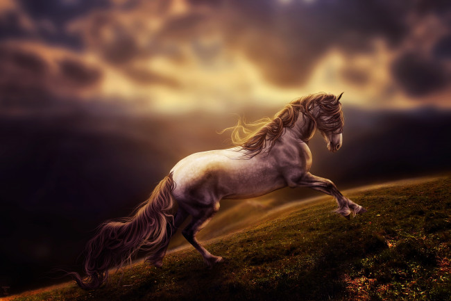 Обои картинки фото рисованные, животные,  лошади, бег, лошадь