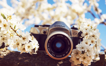 обоя бренды, - другое, камера, фотоаппарат, цветы