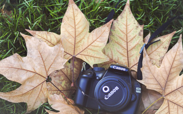 Картинка бренды canon крышка фотоаппарат клен листья камера