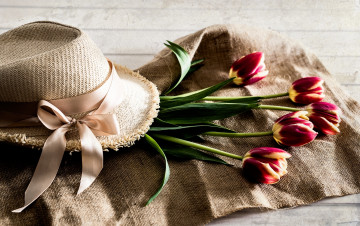 Картинка цветы тюльпаны бутоны шляпа
