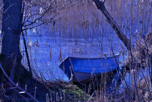 Обои картинки фото корабли, лодки,  шлюпки, лес, пруд, осень, дерево, лодка, природа