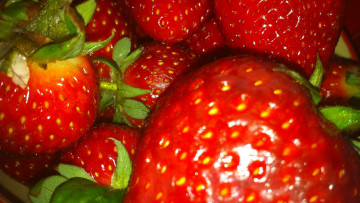 Картинка еда клубника +земляника макро ягоды