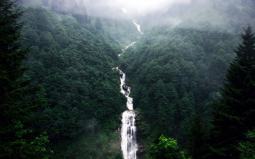Картинка природа водопады поток лес горы