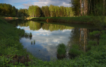 Картинка природа реки озера лес озеро