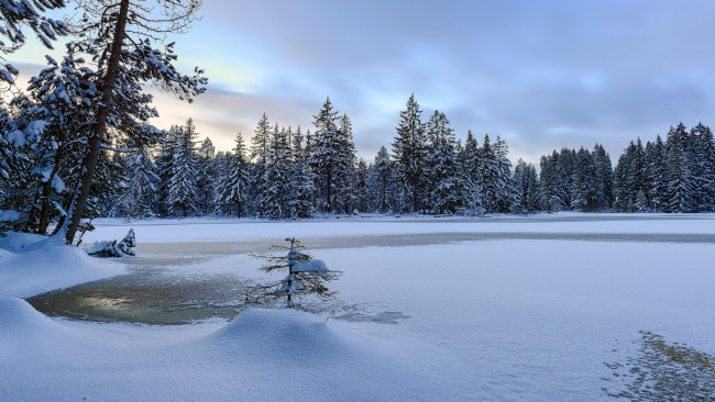 Обои картинки фото природа, зима, пейзаж, деревья, озеро