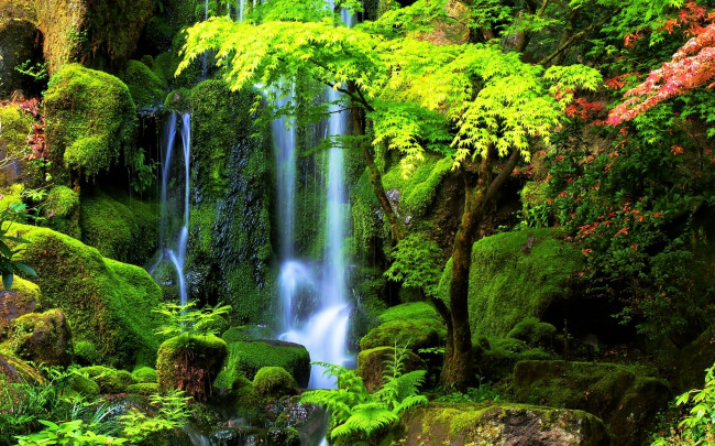 Обои картинки фото природа, водопады, водопад, деревья, скала