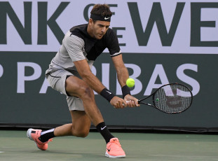 Картинка спорт теннис juan martin del potro