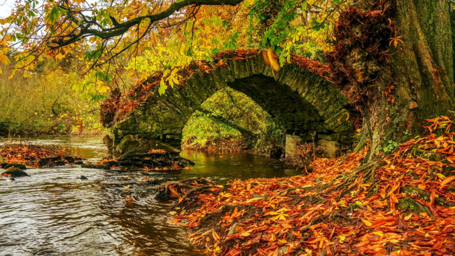 Обои картинки фото river boyne, babes bridge, ireland, природа, реки, озера, river, boyne, babes, bridge