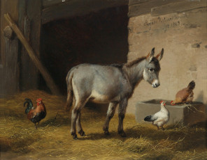 Картинка рисованные charles hermann leon ослик петух курица