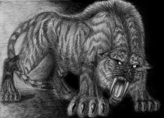 Картинка рисованные животные тигры tiger