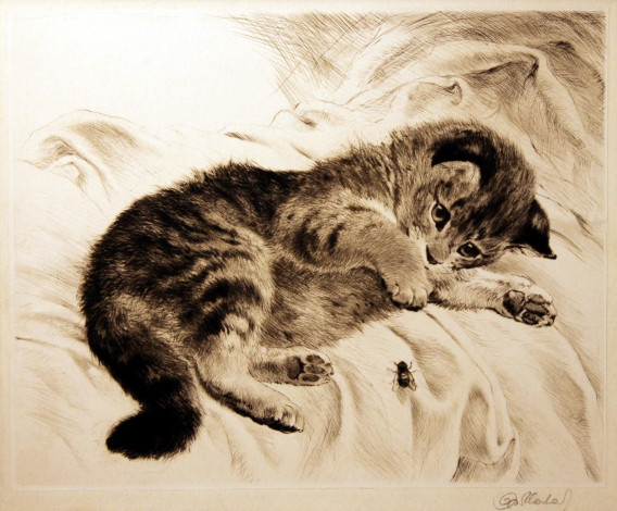 Обои картинки фото рисованные, kurt, meyer, eberhardt, котенок