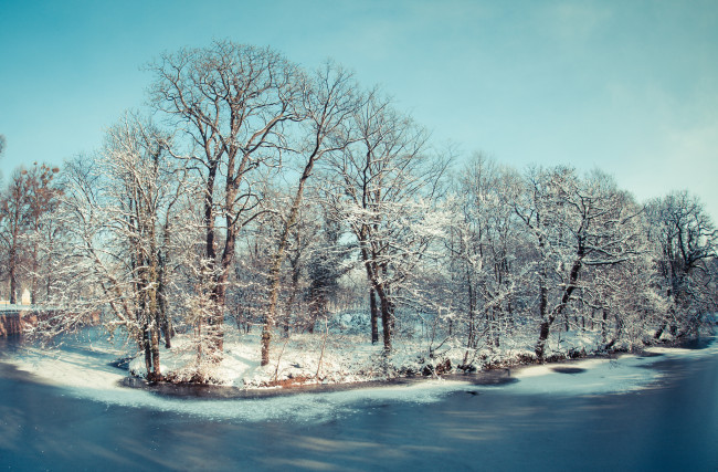 Обои картинки фото природа, зима, река, деревья