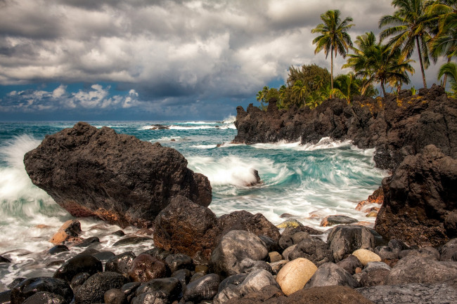 Обои картинки фото maui, hawaii, природа, тропики, пальмы, мауи, гавайи, тихий, океан, скалы, камни, прибой