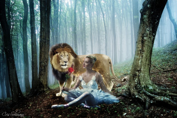 Картинка фэнтези фотоарт девушка лев