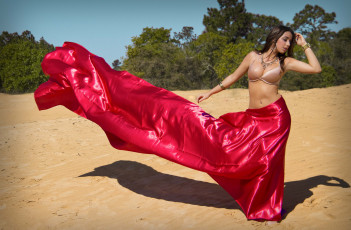 Картинка ashleigh+arruda девушки ashleigh arruda песок ветер тень бюстгальтер юбка