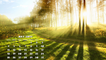 Картинка календари природа свет лес