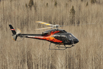 Картинка авиация вертолёты лес