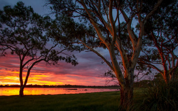 Картинка природа восходы закаты big swamp sunset australia