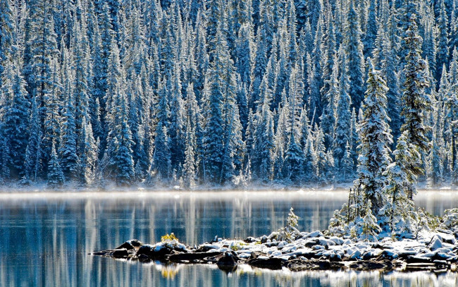 Обои картинки фото природа, реки, озера, остров, снег, ели, деревья, лес, озеро