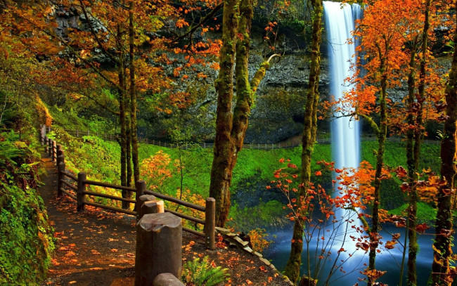 Обои картинки фото природа, водопады, дорожка, скала, водопад, осень, деревья, парк