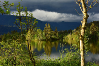 Картинка природа реки озера река отражение лес облака деревья