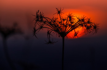 Картинка природа восходы закаты заря