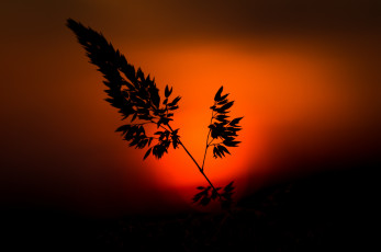 Картинка природа восходы закаты заря
