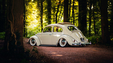 Картинка автомобили volkswagen beetle