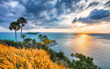 Картинка природа восходы закаты океан пальмы рассвет побережье восход