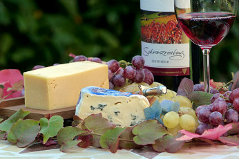 Картинка еда сырные+изделия вино виноград сыр