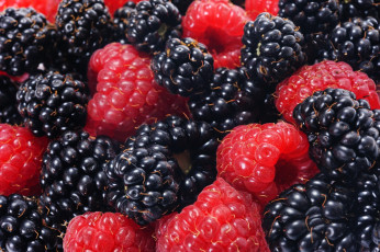 Картинка еда фрукты +ягоды витамины ягода природа лето