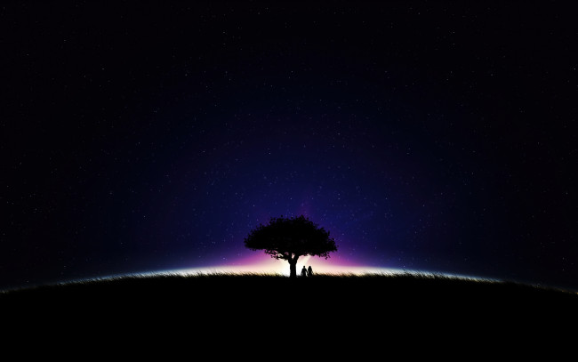 Обои картинки фото векторная графика, люди , people, пара, дерево, свет, ночь, звезды