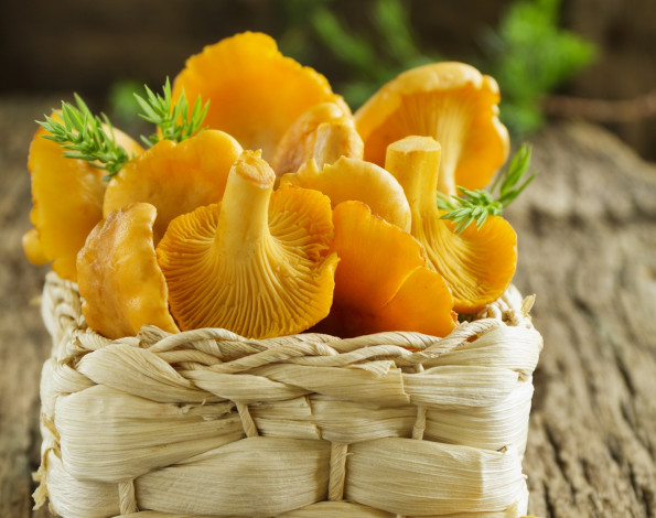 Обои картинки фото еда, грибы,  грибные блюда, корзинка, свежие, грибочки, basket, fresh, mushrooms