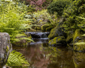 Картинка природа парк portland japanese garden орегон портленд портлендский Японский сад