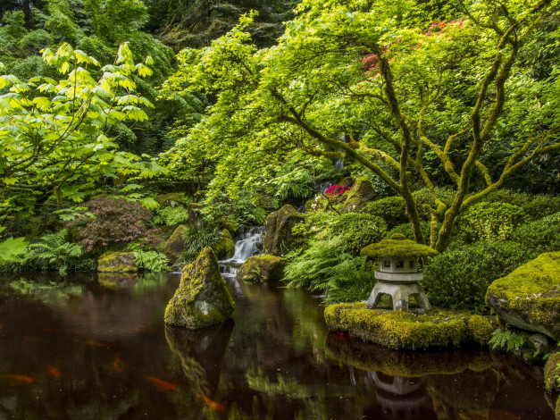 Обои картинки фото природа, парк, портлендский, Японский, сад, портленд, орегон, portland, japanese, garden