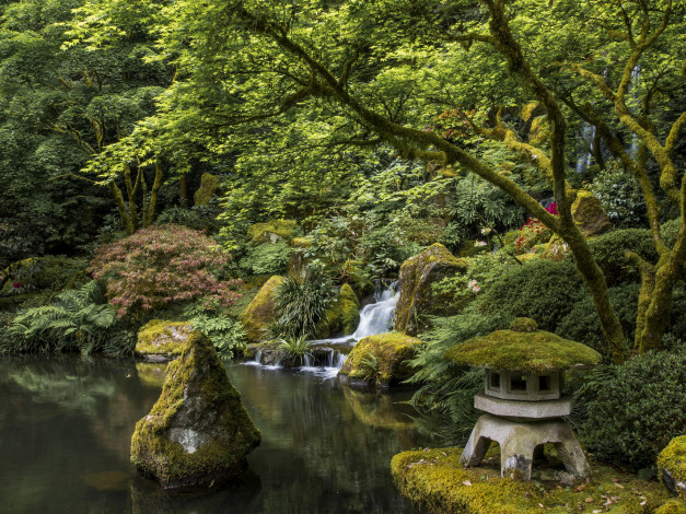 Обои картинки фото природа, парк, портлендский, Японский, сад, portland, japanese, garden, орегон, портленд