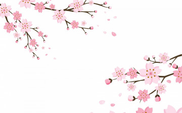 Картинка векторная+графика цветы+ flowers цветки blossom background cherry текстура фон