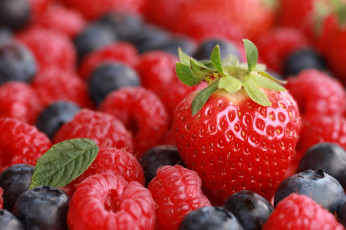 обоя еда, фрукты,  ягоды, клубника, голубика, малина, ягоды