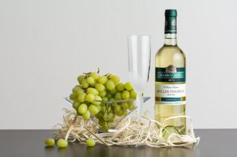 Картинка еда натюрморт виноград белое вино бокал