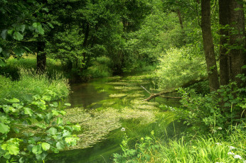 Картинка германия+бавария природа реки озера германия лето лес река бавария