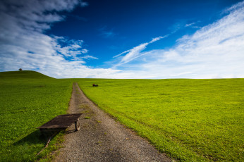 Картинка природа дороги зелень небо тачка поле