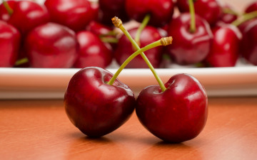 Картинка еда вишня +черешня фрукты черешня веточки
