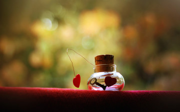 Картинка праздничные день+святого+валентина +сердечки +любовь флакон жидкость ключ пробка сердечки проволока